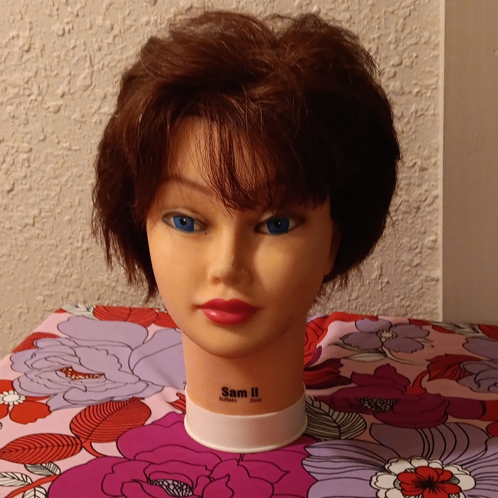 Beauty Cosmetology School Human Hair Make Up Practice Brunette Doll Head Oddity